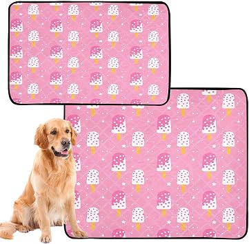 Fruit Flavored Popsicle Washable Pee Pads for Dogs, 2 Pack Non-Slip Reusable Dog Pads Waterproof Whelping Training Pet Mat for Potty, Crate, Playpen, Bed, Sofa