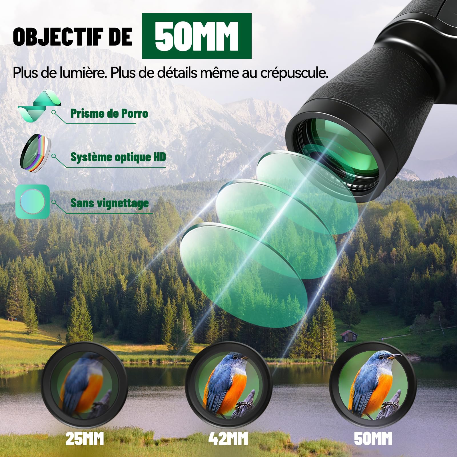 7x50 Jumelles Adultes Portable pour Observation des Oiseaux | Jumelles compactes avec Sac de Transport ,HD MC Lentille Porro Prism Bk7 pour Sports de Plein air et Aux Concerts