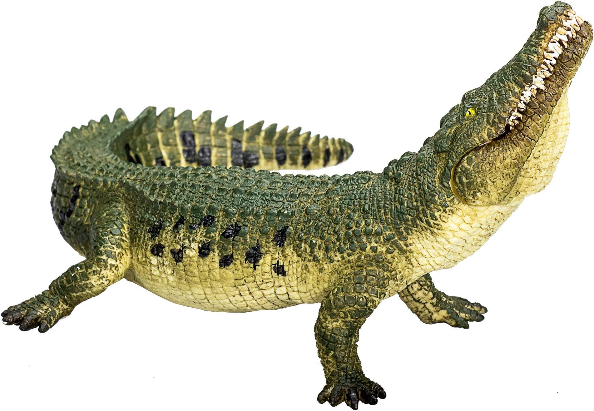 MOJO - Crocodile | Moving Jaw Feature | Hand-Painted Toy Figure | Prehistoric Life Collection | True to Life & Highly Detailed | Designed in UK.