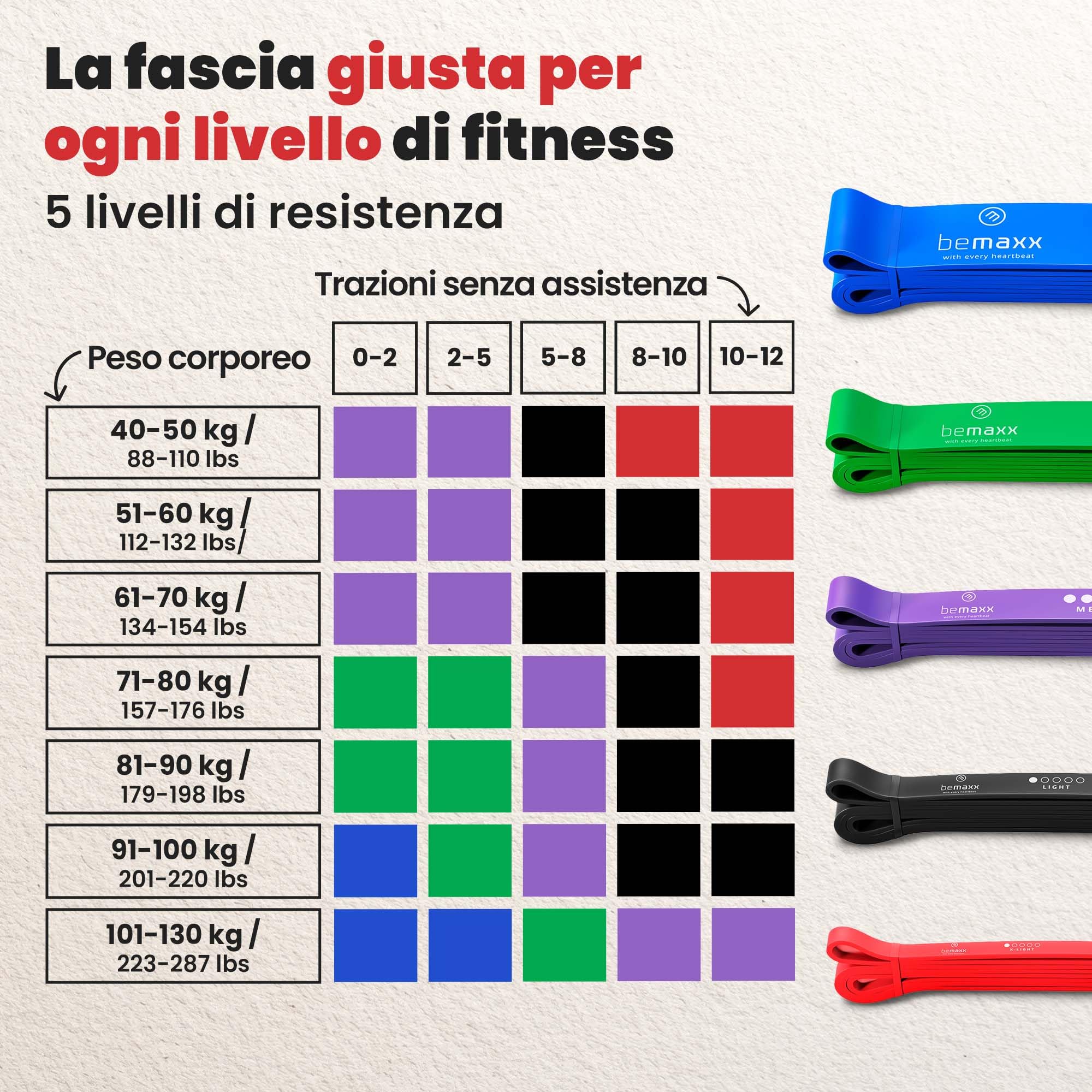 Banda Elastica di Resistenza + Programma di Allenamento - Fasce Elastiche Aiuto per Pull-Up | per Allenamento, Allungamento, Ginnastica | Palestra, Yoga, Pilates | Versatili, Duraturi, Resistenti