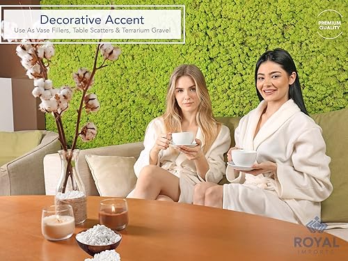 Vista 20 de Royal Imports Piedras decorativas de 5 libras, piedras de río, pinturas para acuarios de peces, grava, paisajismo, decoración del hogar natural