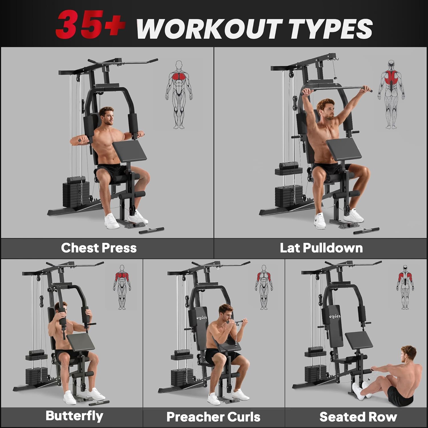 Graphic showing various workout types including Chest Press, Lat Pulldown, Butterfly, Preacher Curls, and Seated Row.