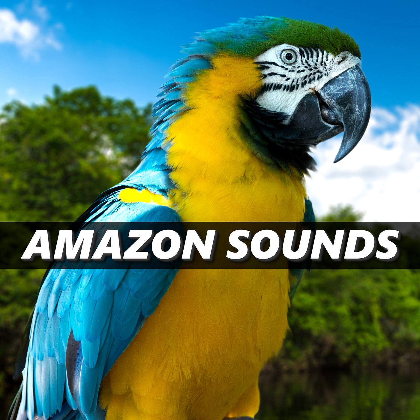 Amazon Sounds