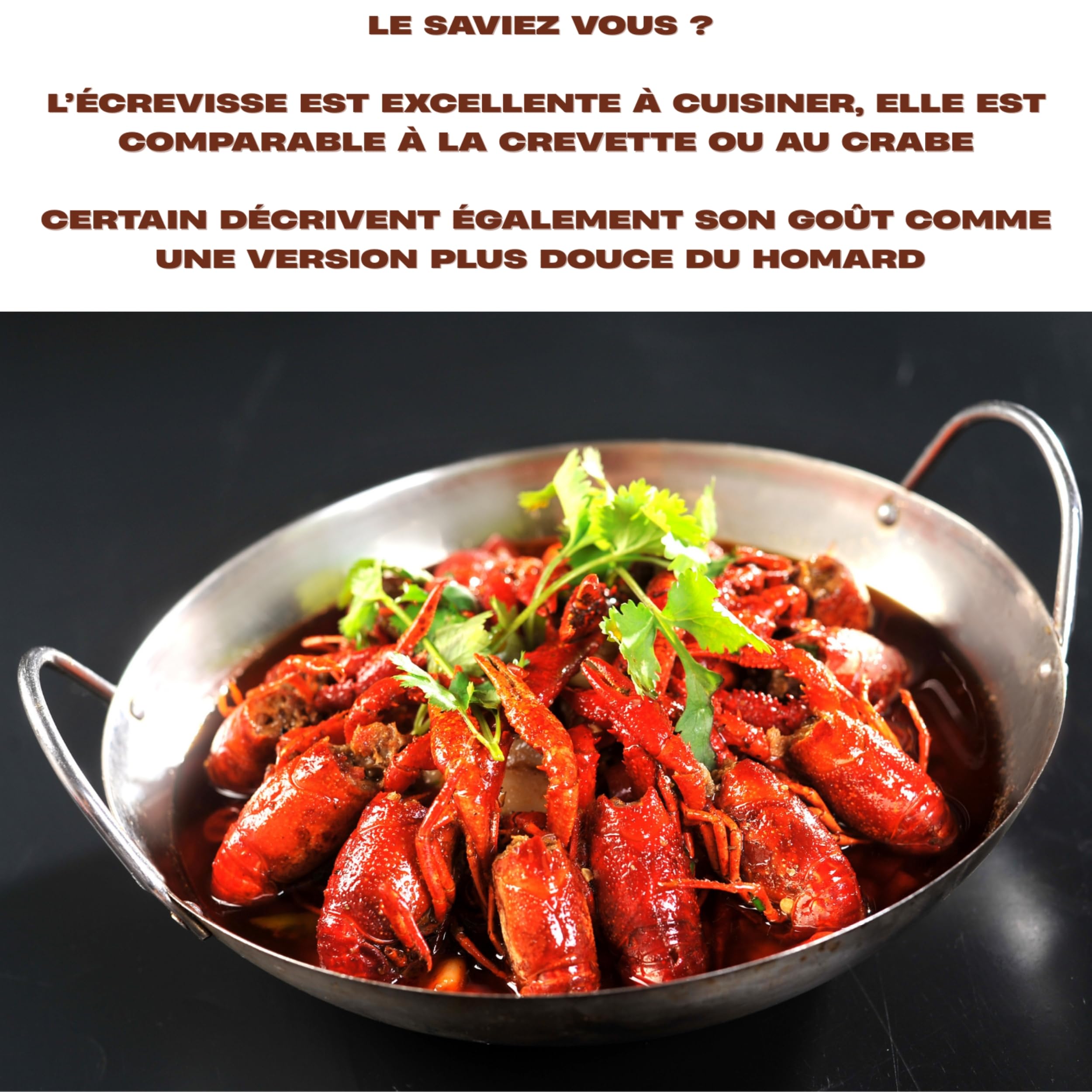 Lot De 3 Nasses À Écrevisses - Grand Diamètre - Corde 4,5m - Épingle À Appât – pour Pêche en Lac, Rivière Ou Étang – Filets De Capture D’écrevisses, Crabes Et Crevettes