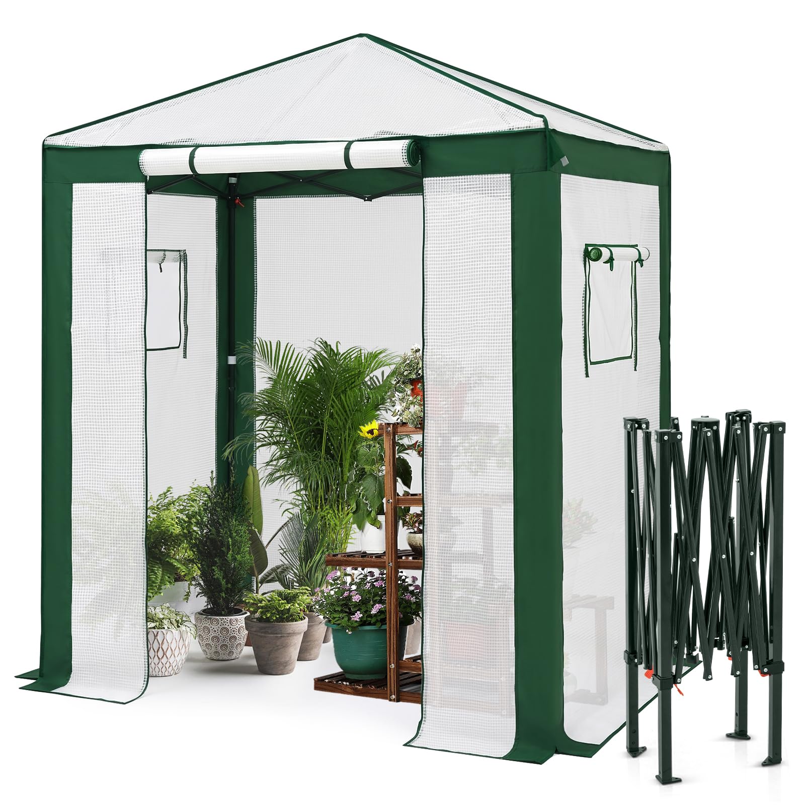 EAGLE PEAK 6x4 Walk in Pop Up Greenhouse, Green/White