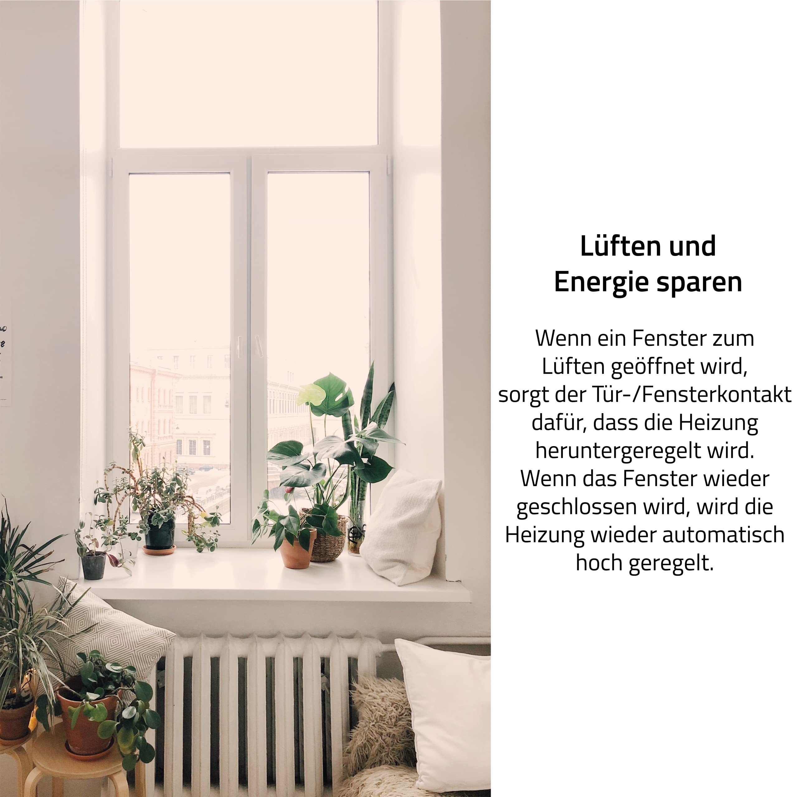 Eurotronic 700203 Tür-/Fensterkontakt Z-Wave Plus (Sensor zur Überwachung von Fenster & Türen, intelligentes Smarthome Zubehör, optimierte Energieersparnis & Schutz vor Einbruch)