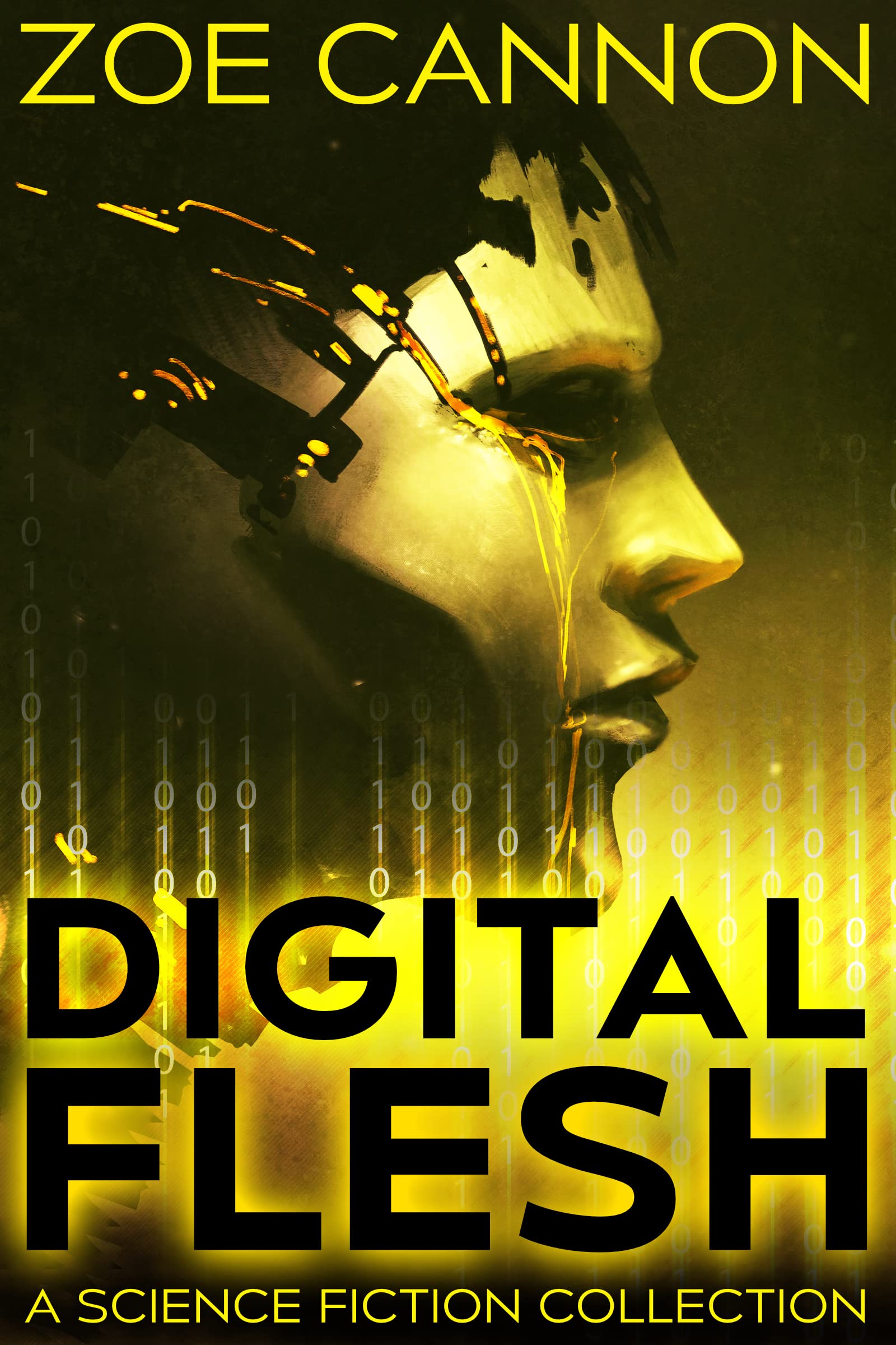 Cover of Digital Flesh