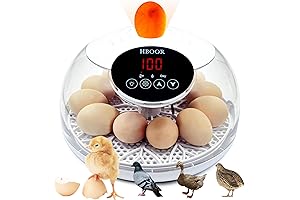 Kebonnixs Incubator: The Ultimate Hatching Solution