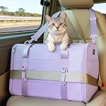 Petsfit Pet Carrier Airline Approved, Soft-Sided Cat Carrier with Patented Car Buckle, Lightweight and Collapsible with Adjustable Shoulder Strap, Soft Cushion,Green