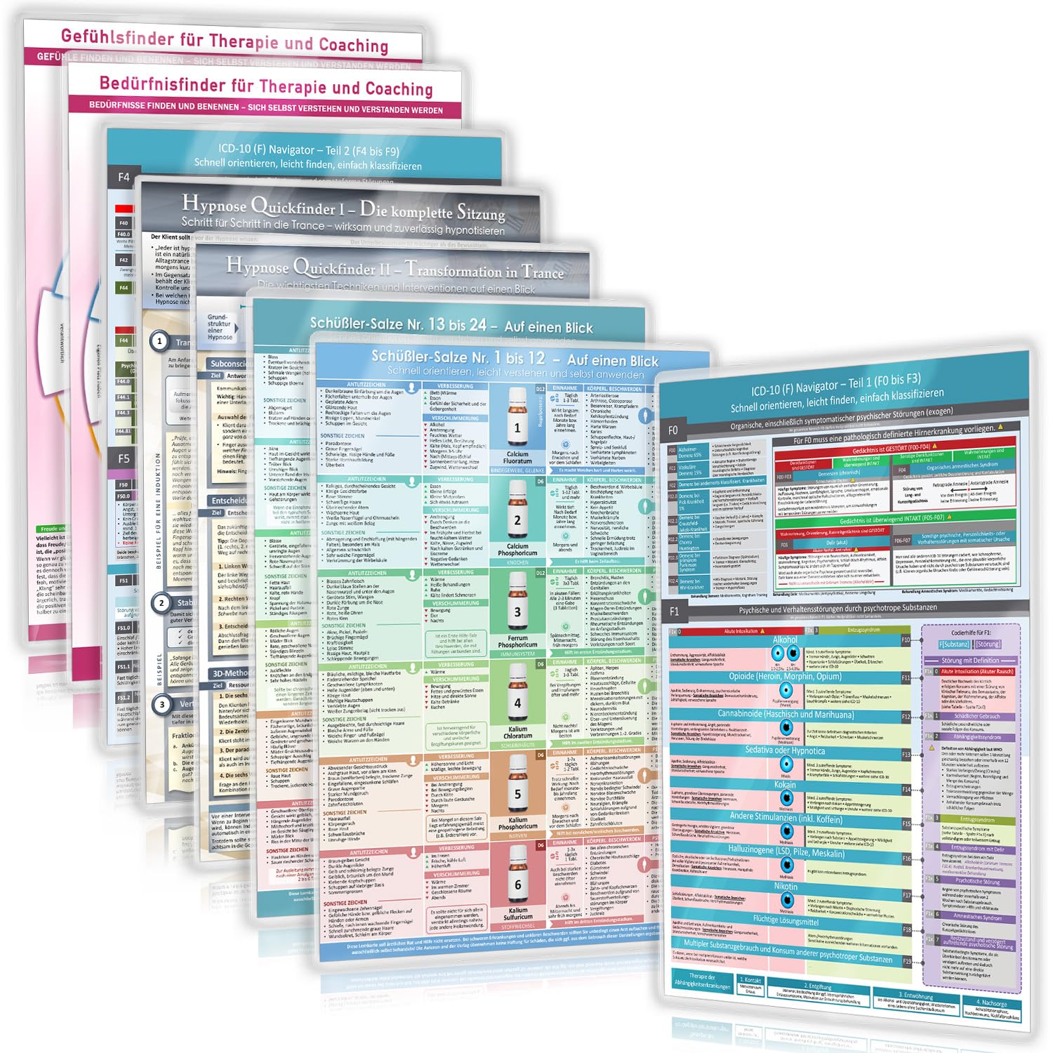[8er Set] Das All-in-One Heilpraktiker Praxis-Set (2024) – 8 Helfer für den Erfolg in der Praxis mit dem Gefühlsfinder, Bedürfnisfinder, ICD-10 (F0 - ... Salze und Hypnose – 8teilig, DINA4, laminiert