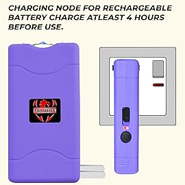 FIGHTSENSE Super Heavy Duty 35 Billion Mini Stun Gun for Self Defense with Bright Led Flashlight, Rechargeable Battery, Nylon Holsters with Belt Loop for Easy Cary (Purple)