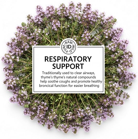 Thyme – 20 Tea Bags – Natural Respiratory Wellness, Immune Support & Antioxidant Rich Herbal Infusion | 100% Pure Traditionally Harvested Leaves