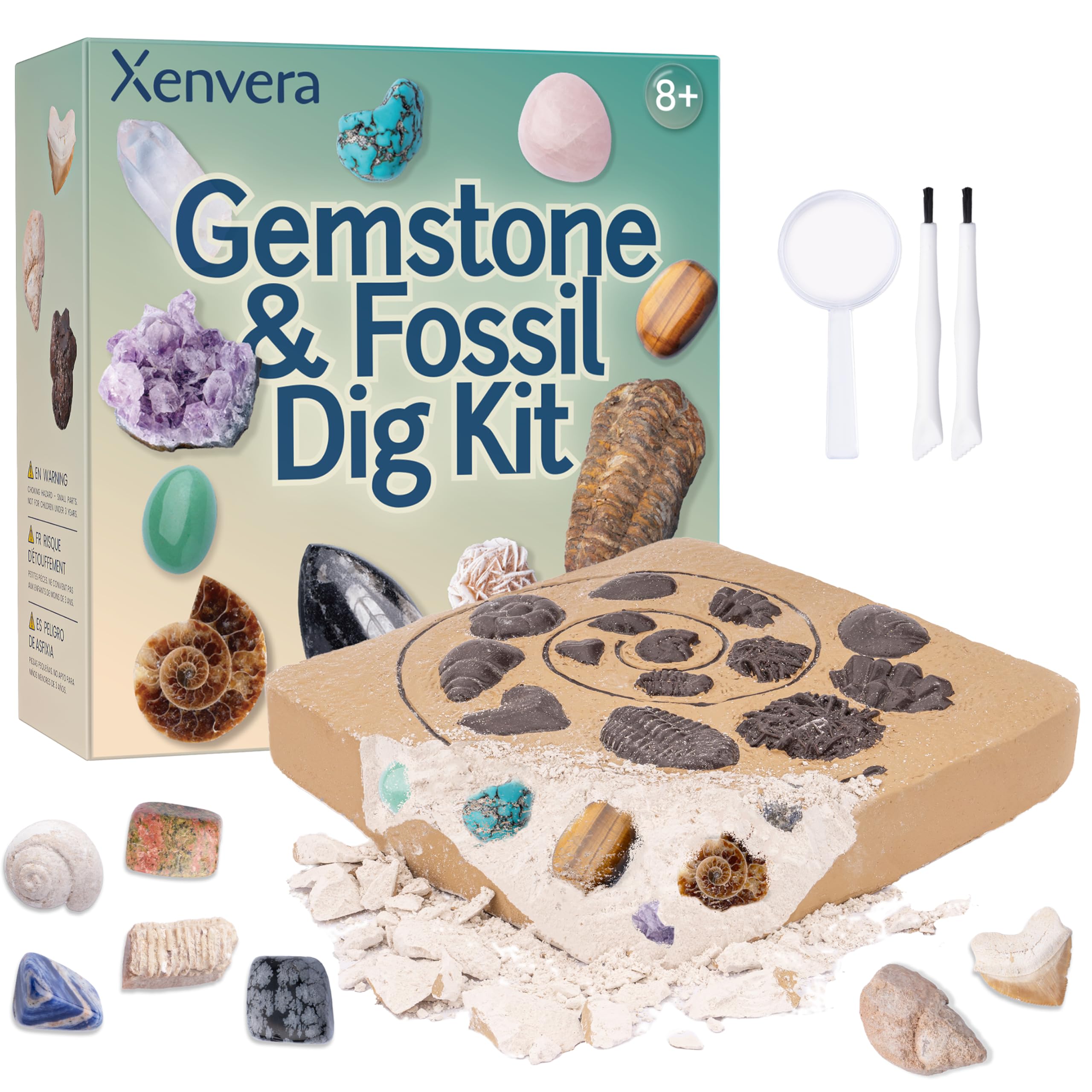 Xenvera Gemstone and Fossil Dig Kit – Excavate 10 Gems and 10 Fossils, STEM Geology Set, Educational Toy, Science Kit for Kids Ages 8+
