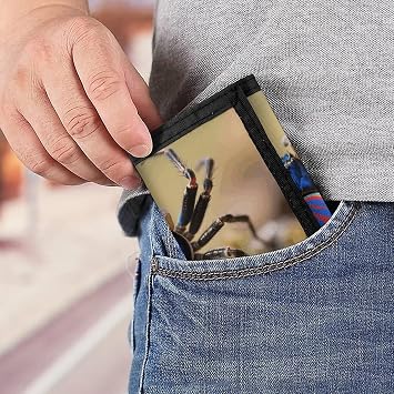 Peacock Spider Trifold Wallet Front Pocket Coin Purse - Slim Credit Card Holder for Men & Women