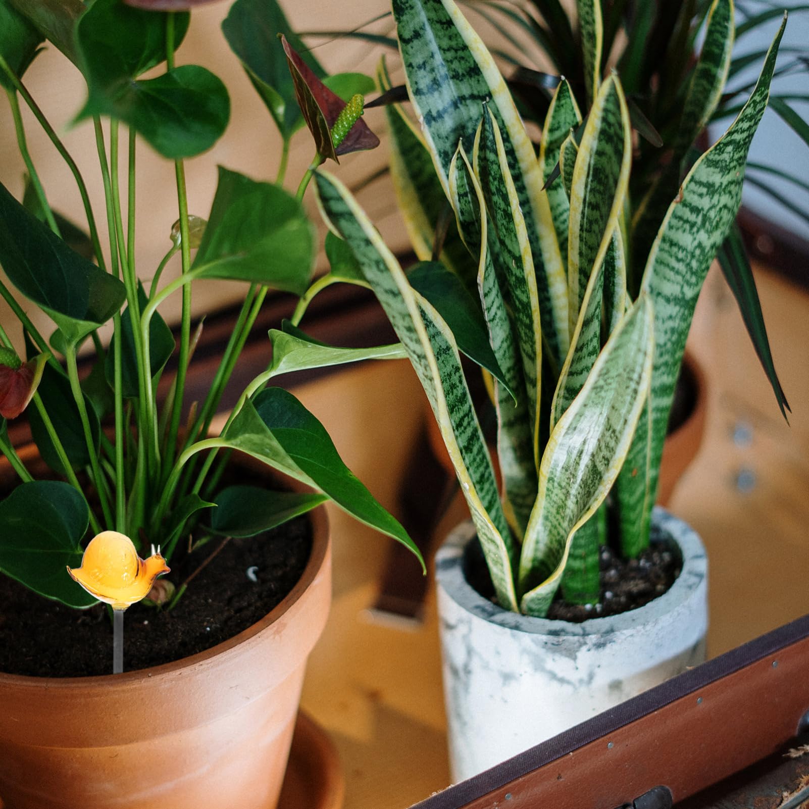 BESPORTBLE 4 Pezzi di Annaffiatoio per Fiori A Forma di Lumaca in di Irrigazione Automatica per Fiori Dispositivi di Irrigazione per Piante Indicatore di Irrigazione per