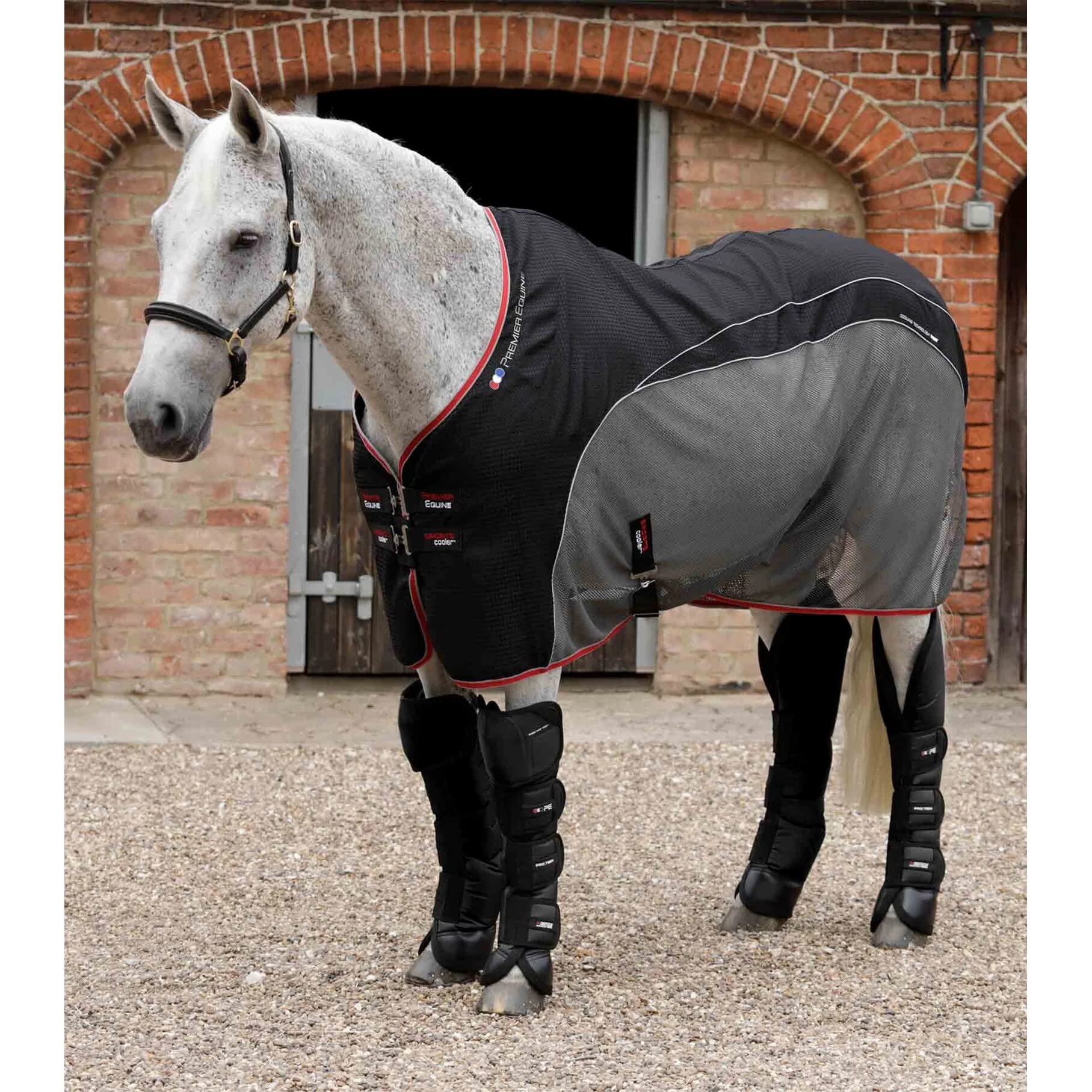Premier Equine Botas de Transporte para Caballos Ballistic Pro-Tech
