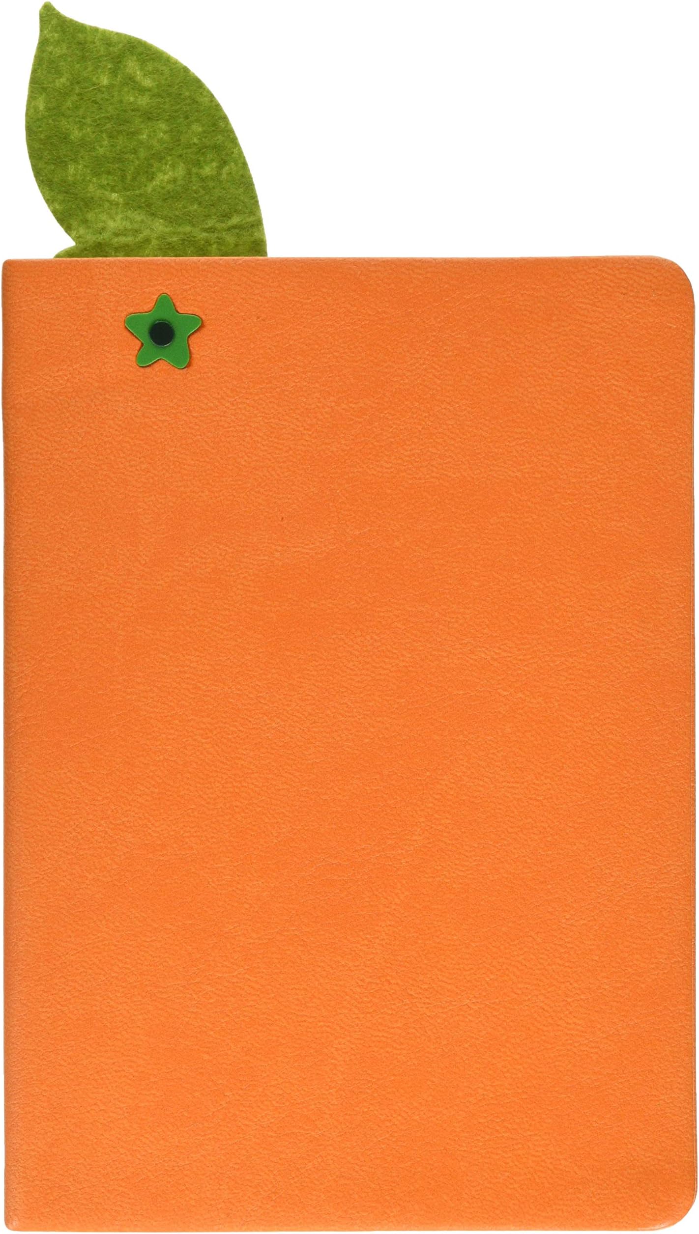Juicy Notebook: Orange