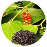 Benefits of BlackPepper