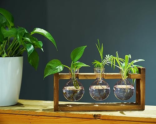 Miniatura 12 de Kingbuy Terrario para plantas con soporte de madera, maceta de vidrio, propagación de escritorio, florero de 3 bombillas, soporte de metal, estante