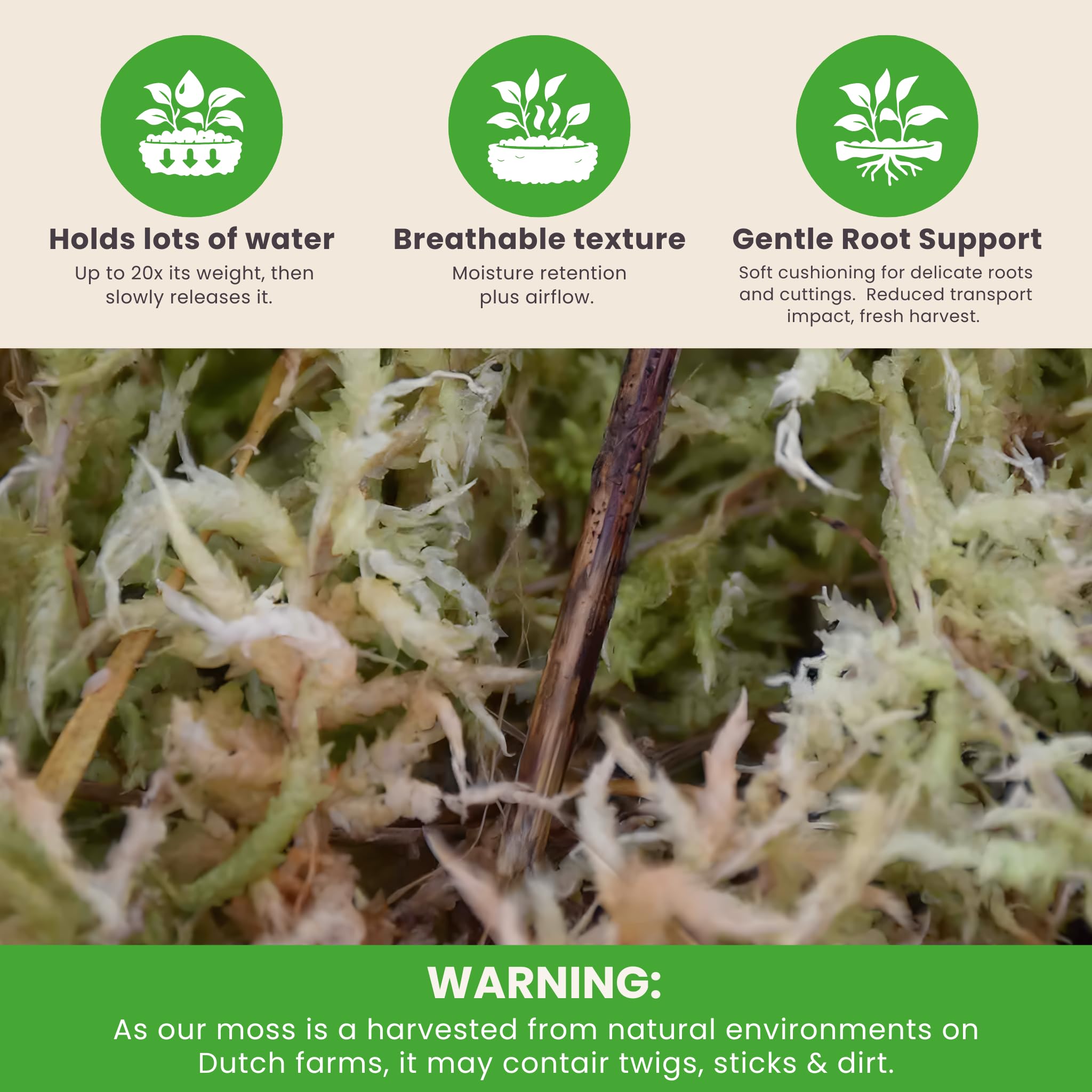 Sybotanica - Musgo Sphagnum 5L - Sustrato Natural para Orquídeas y Terrarios - Retiene la Humedad - Favorece el Crecimiento de Raíces - Ideal para Amantes de Las Plantas de Interior