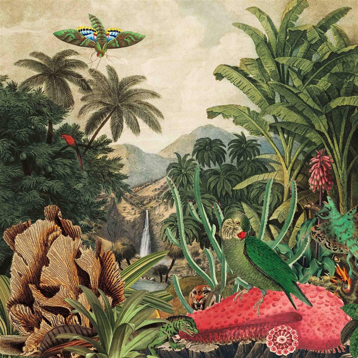 Imaginary Island Music, Vol.1: Canary Islands by Lagoss (Record, 2020)