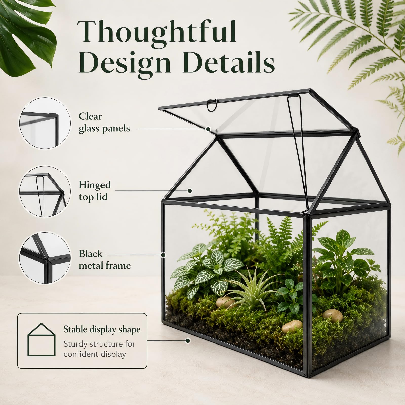 Amazon.co.jp: YIMORENCE V 大型 ブラックガラスハウス 多肉植物