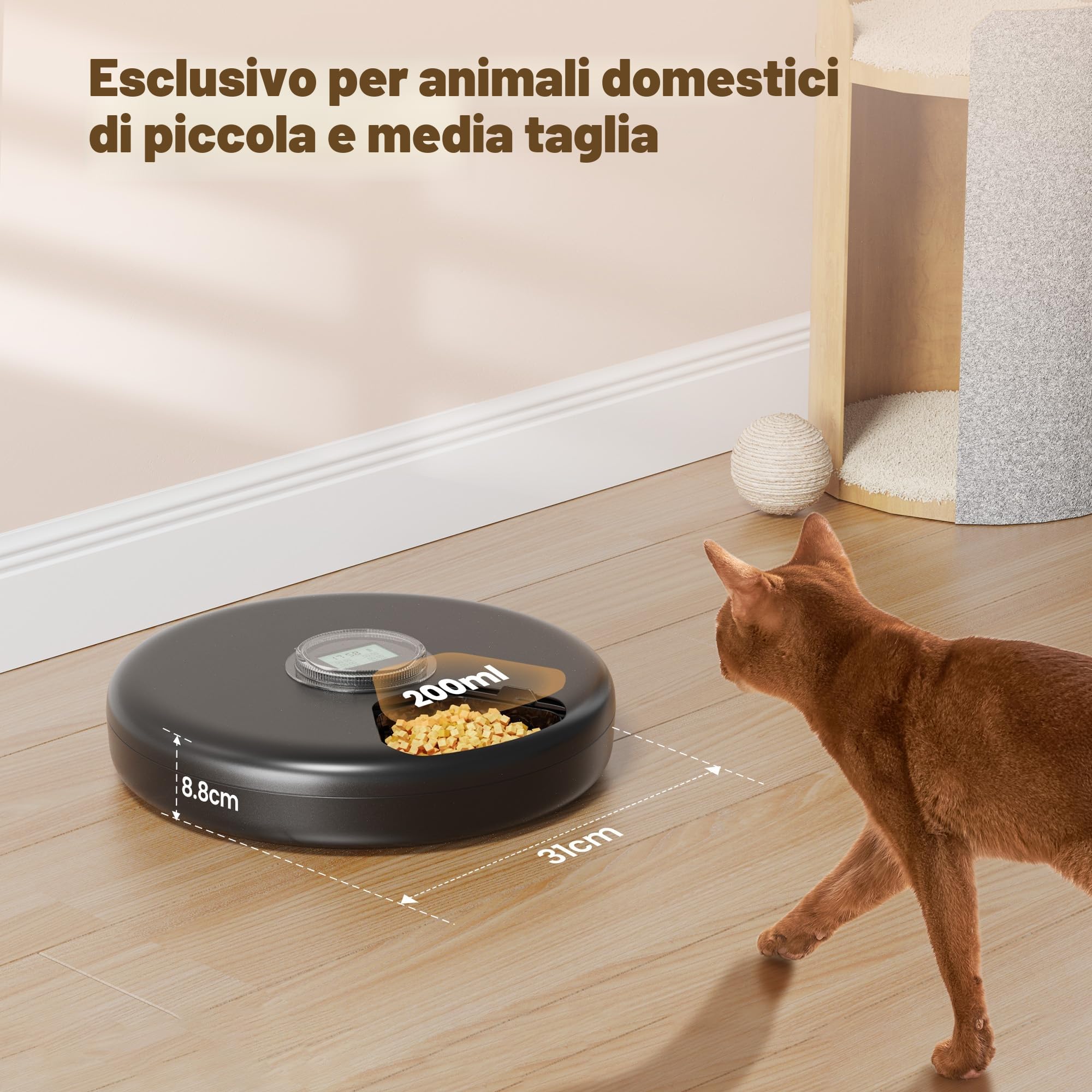 Distributore Automatico Cibo Gatti Umido: Dispenser Crocchette Gatto - Dosatore Crocchette per Gatti senza Fili - Dispenser Cibo Gatto 3AA Batteria - Distributore per Cani Timer - Refrigerazione
