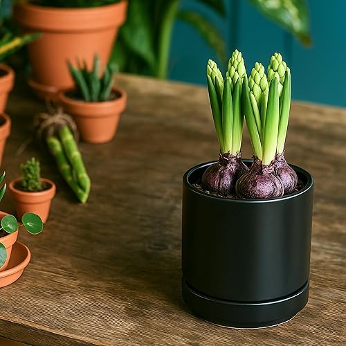 Miniatura 5 de Maceta de Cerámica con Agujero de Drenaje y Platillo, Maceta Redonda con Forma Cilíndrica, Interior