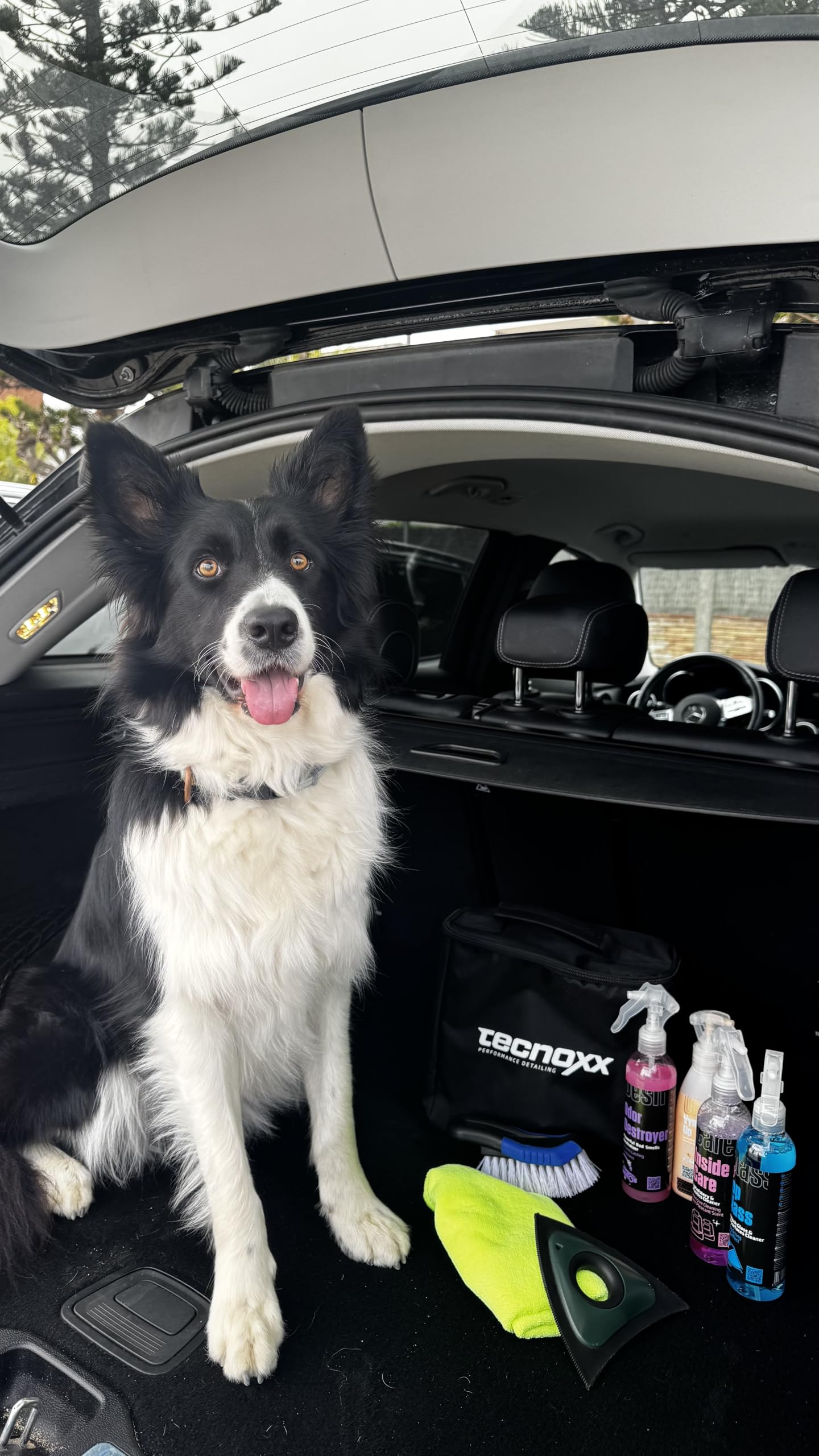 Tecnoxx Pet Car Detailing Kit Limpieza de Coche para Mascotas - Bolsa con Productos para Tapicería, Plásticos, Cristales y Elimina Olores + Quitapelos, Cepillo y Bayeta - Ideal Dueños de Perros