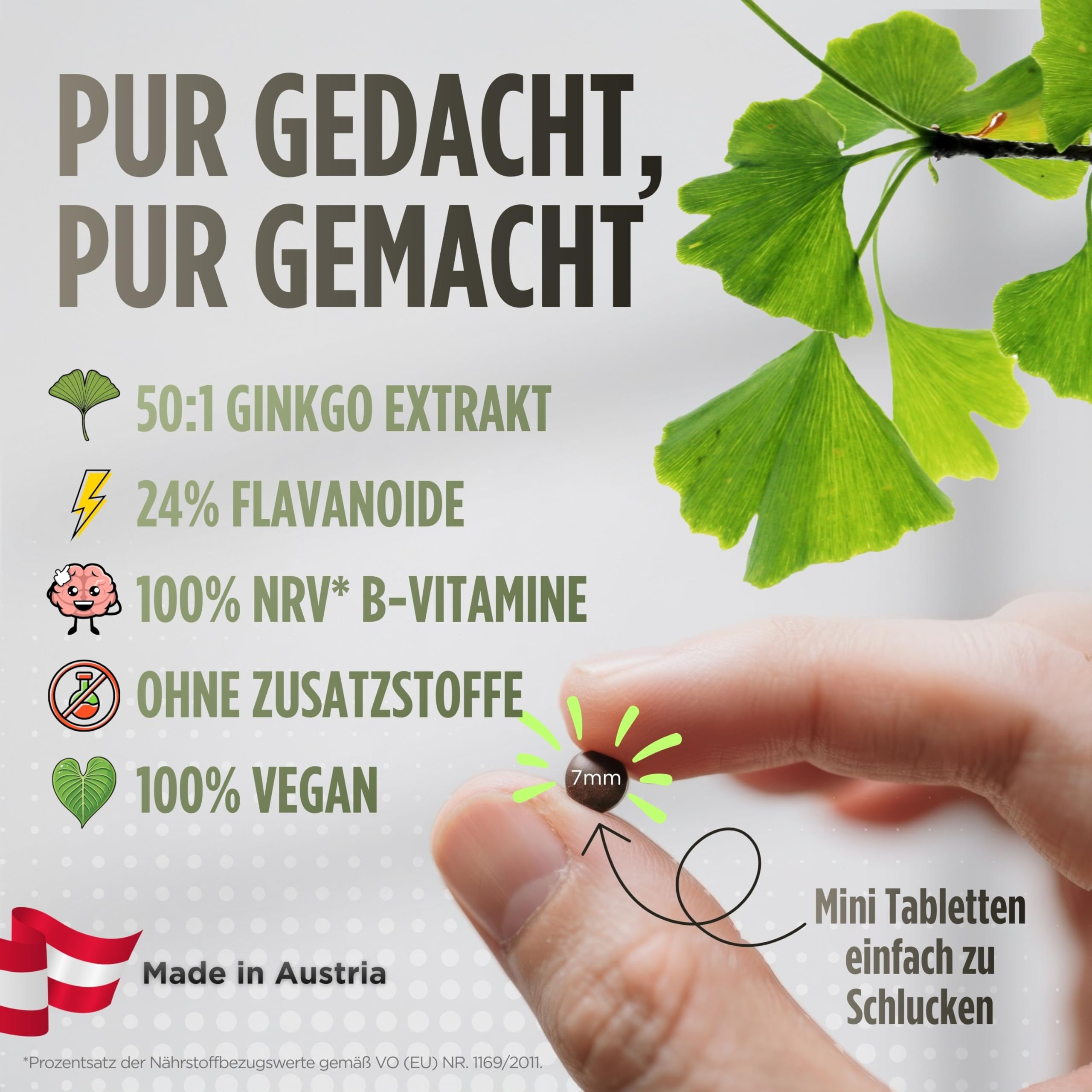 VROODY Ginkgo Biloba Extrakt hochdosiert - mit Vitamin B12 trägt zur Verringerung von Müdigkeit und Ermüdung bei - 365 kleine Tabletten die leicht einzunehmen sind