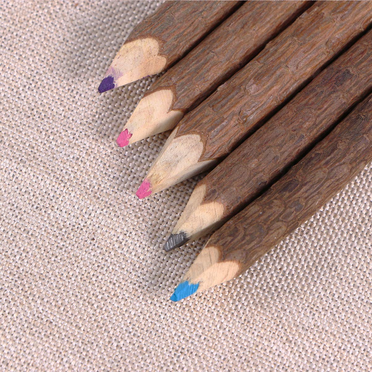 Amazon.co.jp: Alipis 樹皮鉛筆 枝鉛筆 アーティスト用色鉛筆 木の枝