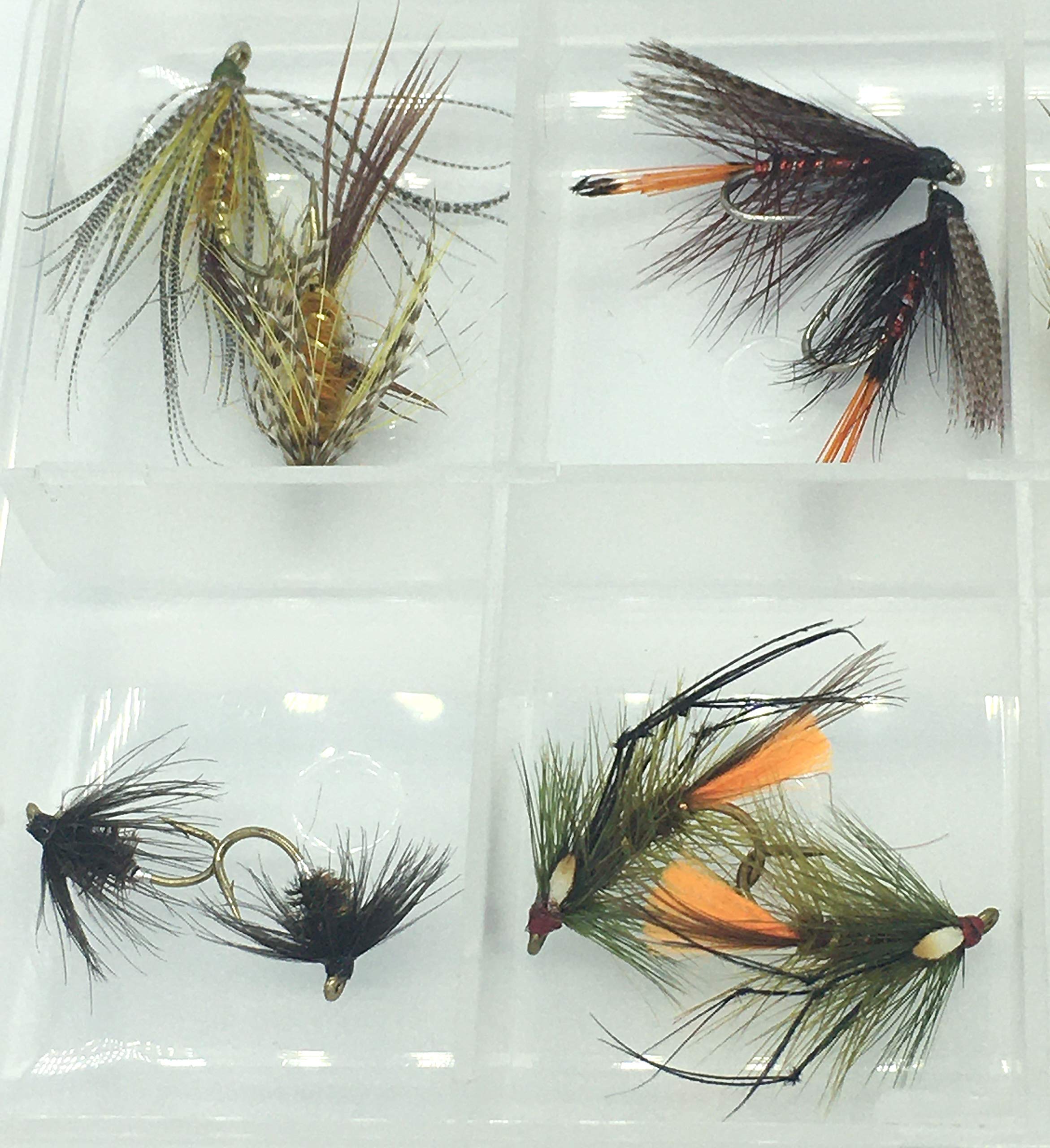 Mouche Pêche Irlandais Mouillé 16 Ensemble En Gratuit Boîte à