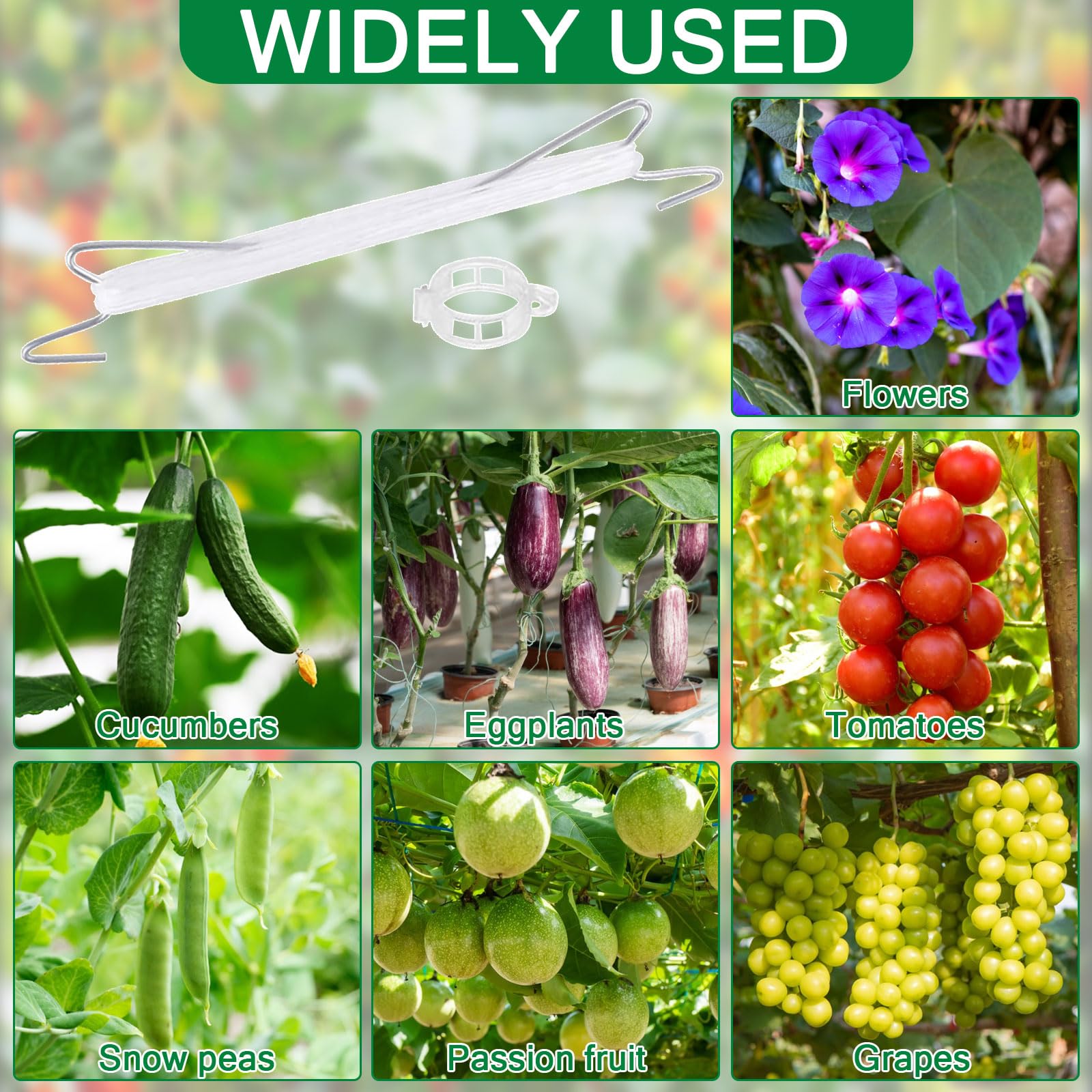 TUIBEIDAMAI Lot de 18 crochets à tomates en métal avec corde, 18 boucles de plantes et 15 m de corde, pour tomates et concombres suspendus TUIBEIDAMAI Lot de 18 crochets à tomates en métal avec corde, 18 boucles de plantes et 15 m de corde, pour tomates et concombres suspendus