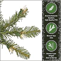 Vista 7 de National Tree Company - Árbol de Navidad artificial completo preiluminado, verde, abeto Dunhill, 7 pies, 700 luces transparentes, 2,144 puntas