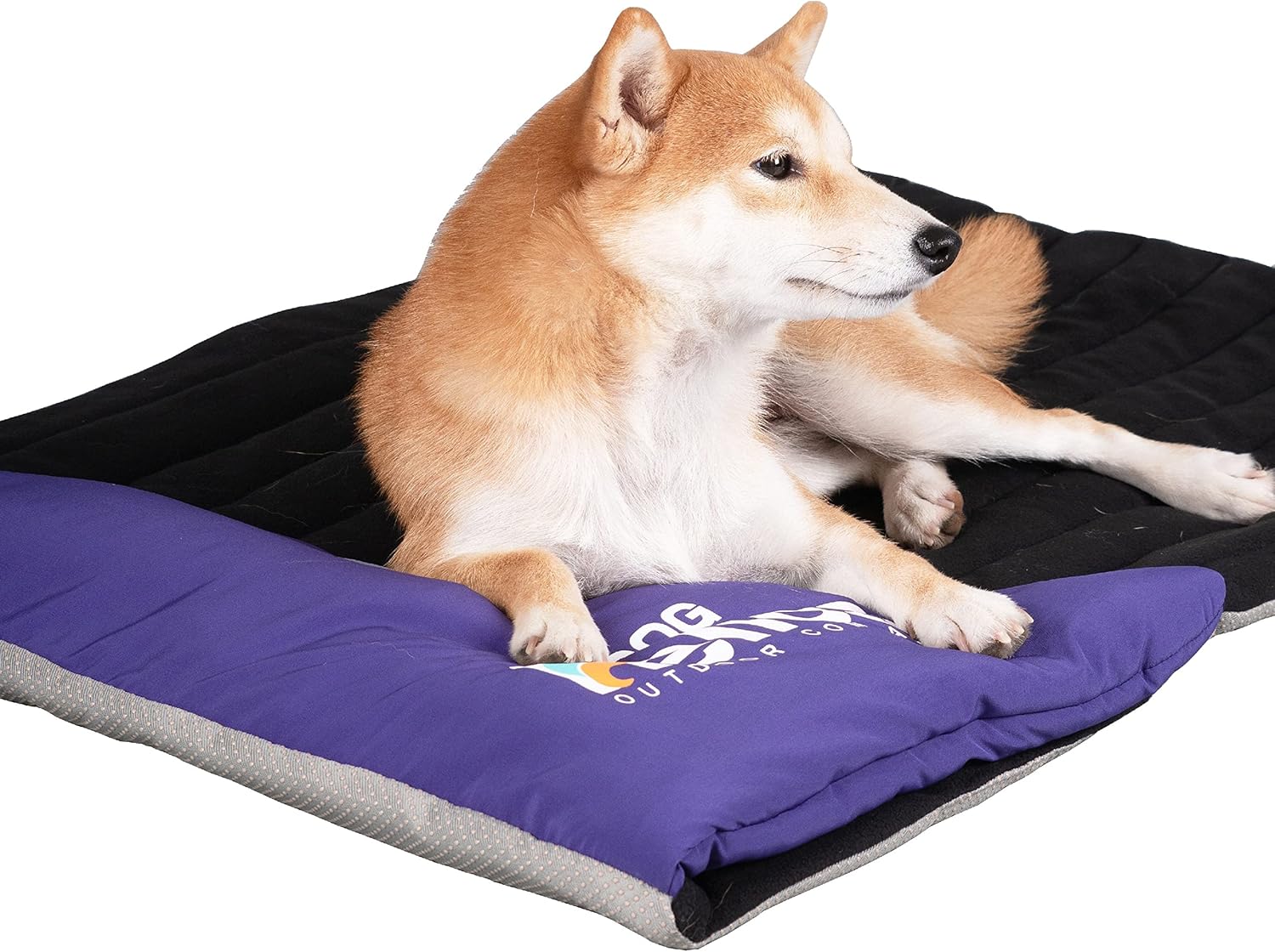 review Dog Helios Expedition Sporty Travel Camping Pillow Dog Bed, Purple
