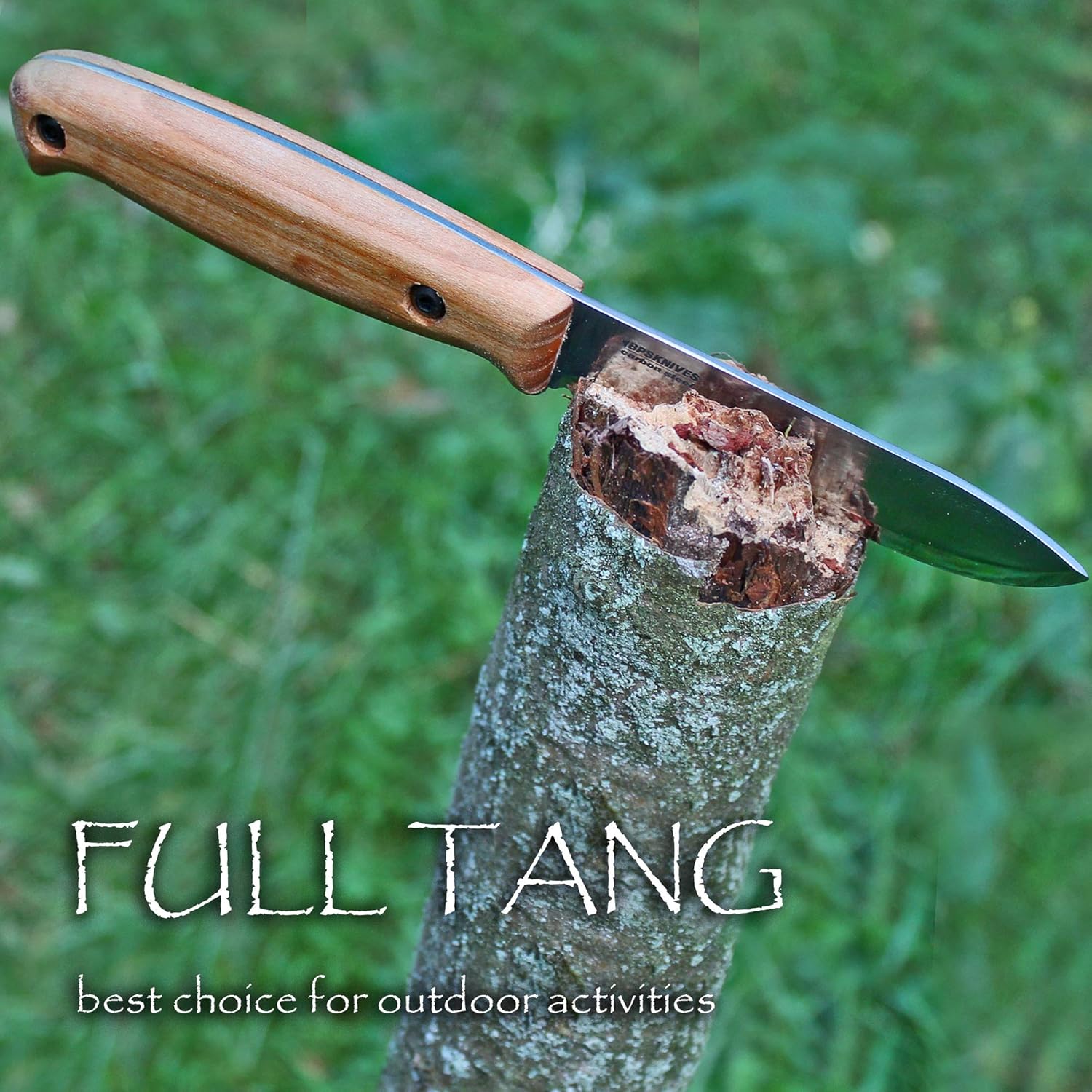 BPS Knives BS1FTS Bushcraft Knife Survival Compact Knife for Camping Full Tang Fixed Blade Knives with Leather Sheath Cover Outdoor Carbon Steel True Scandi Grind Blade Camp Tool Wood Handle : Sports & Outdoors