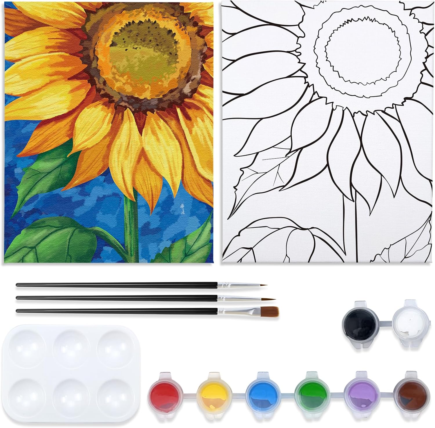 VOCHIC Canvas Painting Kit Pre Drawn Canvas for Painting