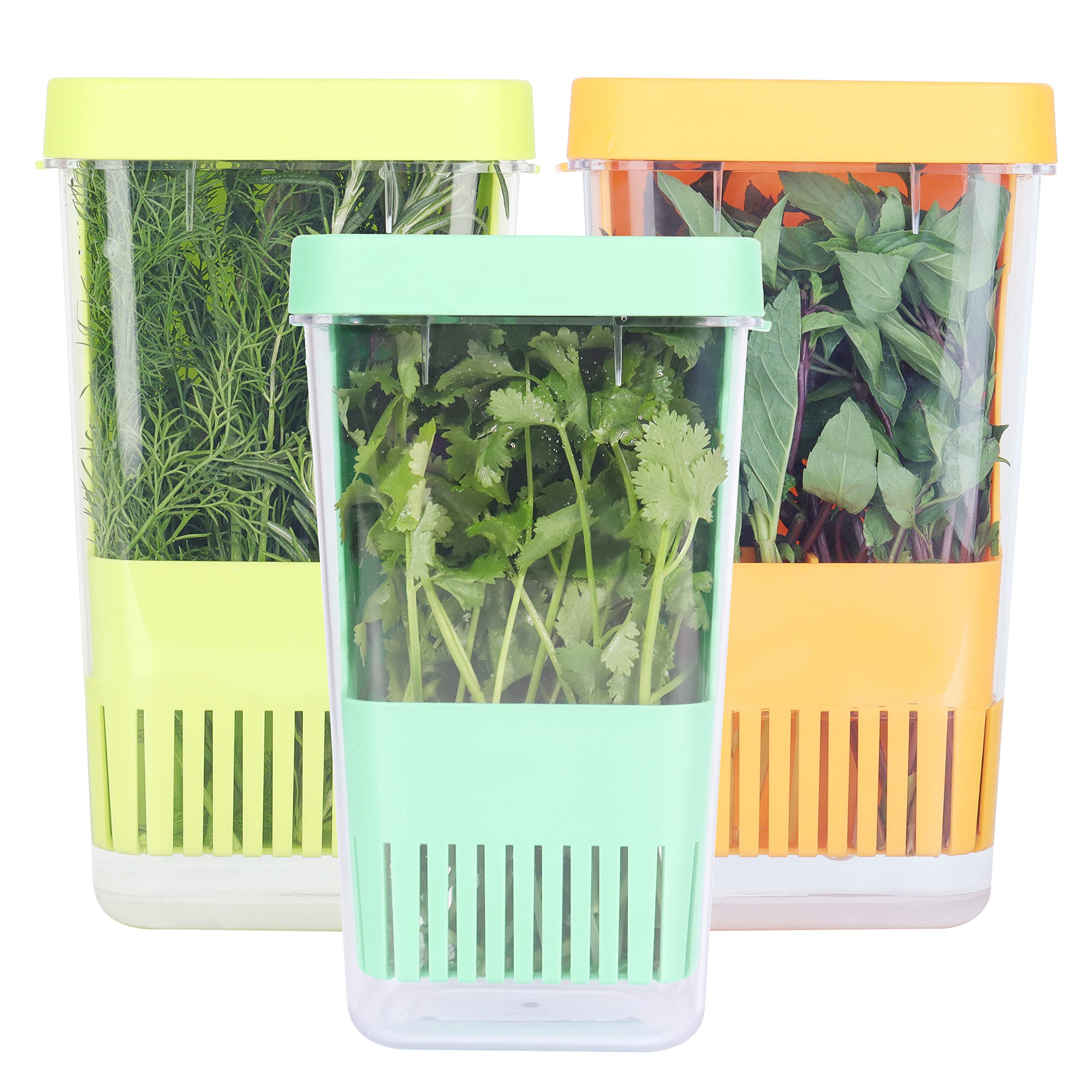 3 Pack Herb Keeper, BPA-Free Plastic Herb Saver with an Inner Basket for Cilantro, Mint, Parsley, and Asparagus, Keeps Fresh Herbs for 3 Times Longer