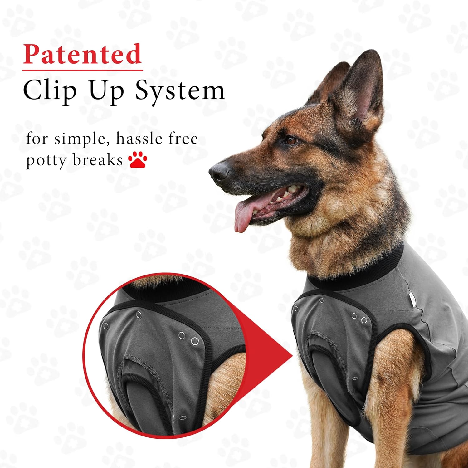 BellyGuard Dog Surgery Recovery Suit, Dog Onesie for Post-Op Care, Recovery Apparel for Female and Male, Surgical Body Cover for Canine Healing Support