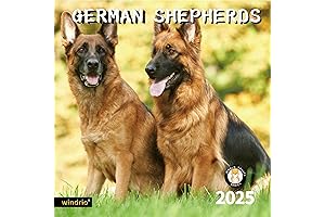 2025 German Shepherd Calendar
