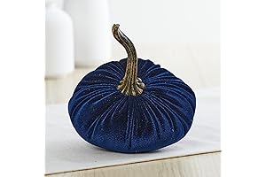 Navy Blue Pumpkins for Autumn Vibes