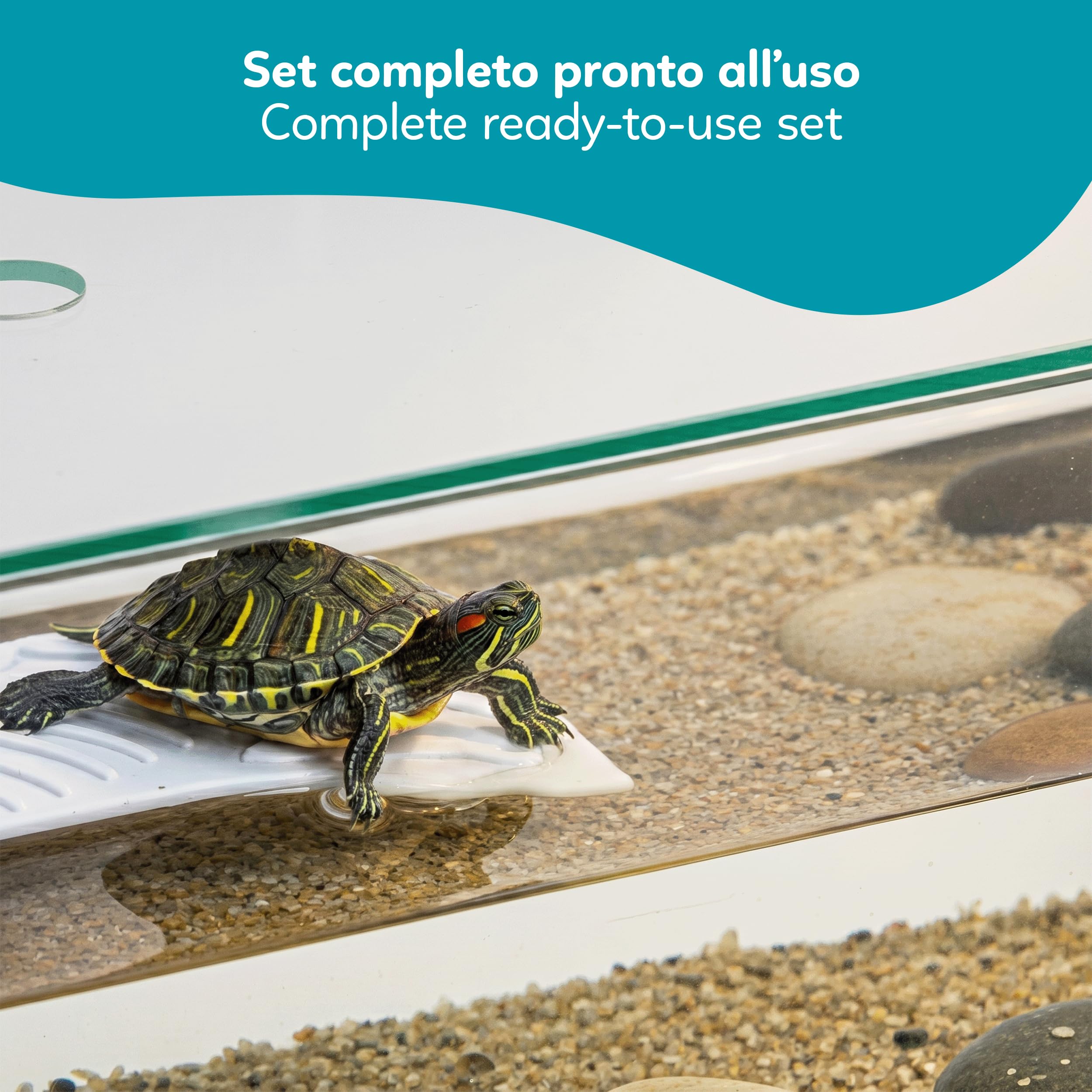 AQPET Tartarughiera in Vetro con Coperchio E Isola per Tartarughe d'Acqua Tortuga, 60 60x30x25 cm 45 Litri