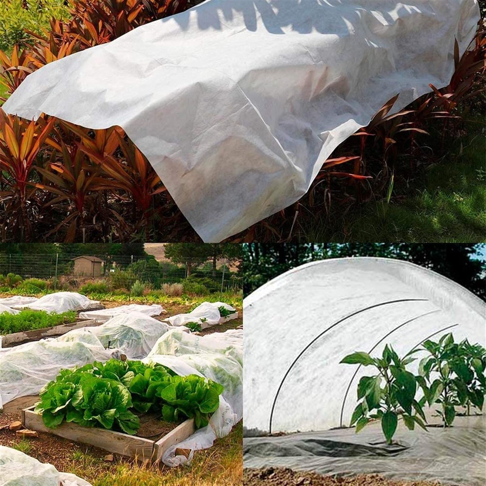 Grandi Telo per Piante Inverno Antigelo, Riutilizzabile Tessuto Non Tessuto per Piante Grandi, Vello da Giardino Panno Antigelo per Piante, Permeabile all'Acqua e Resistente ai Raggi UV,40gsm