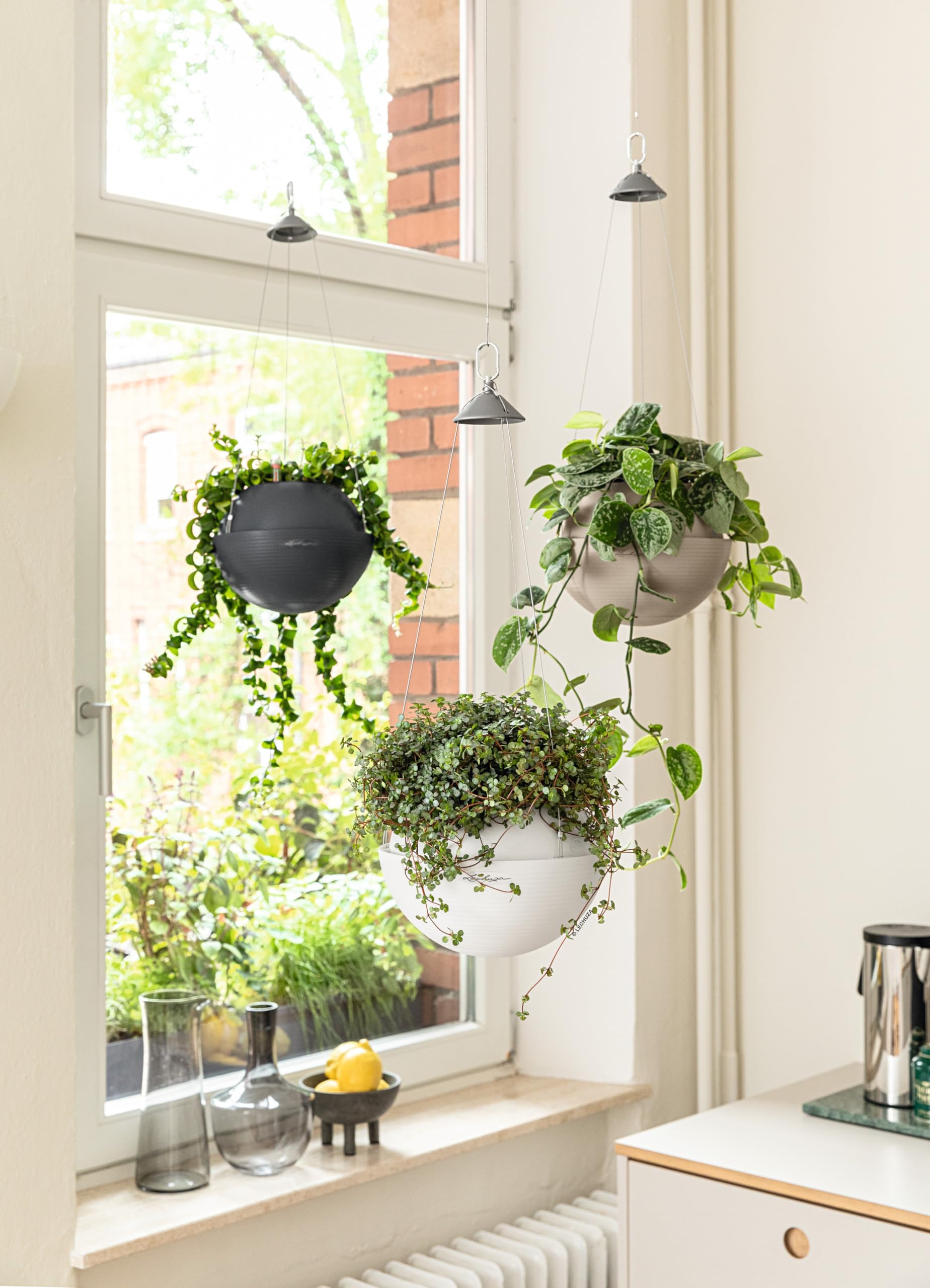 Amazon.com: Lechuza BOLA Color 32 White, Self-Watering Hanging Planter,  D12.6 H9.8 in : Patio, Lawn & Garden