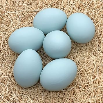 Ceramic Nest Eggs - Blue