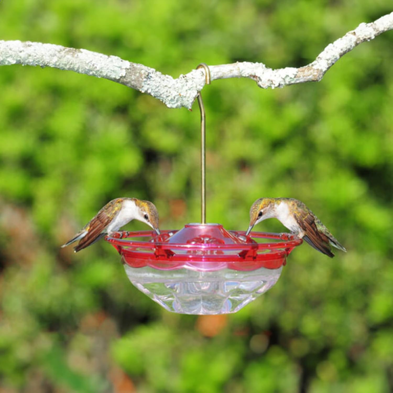 Aspects 433 HummZinger HummBlossom Feeder, 4 oz, Rose