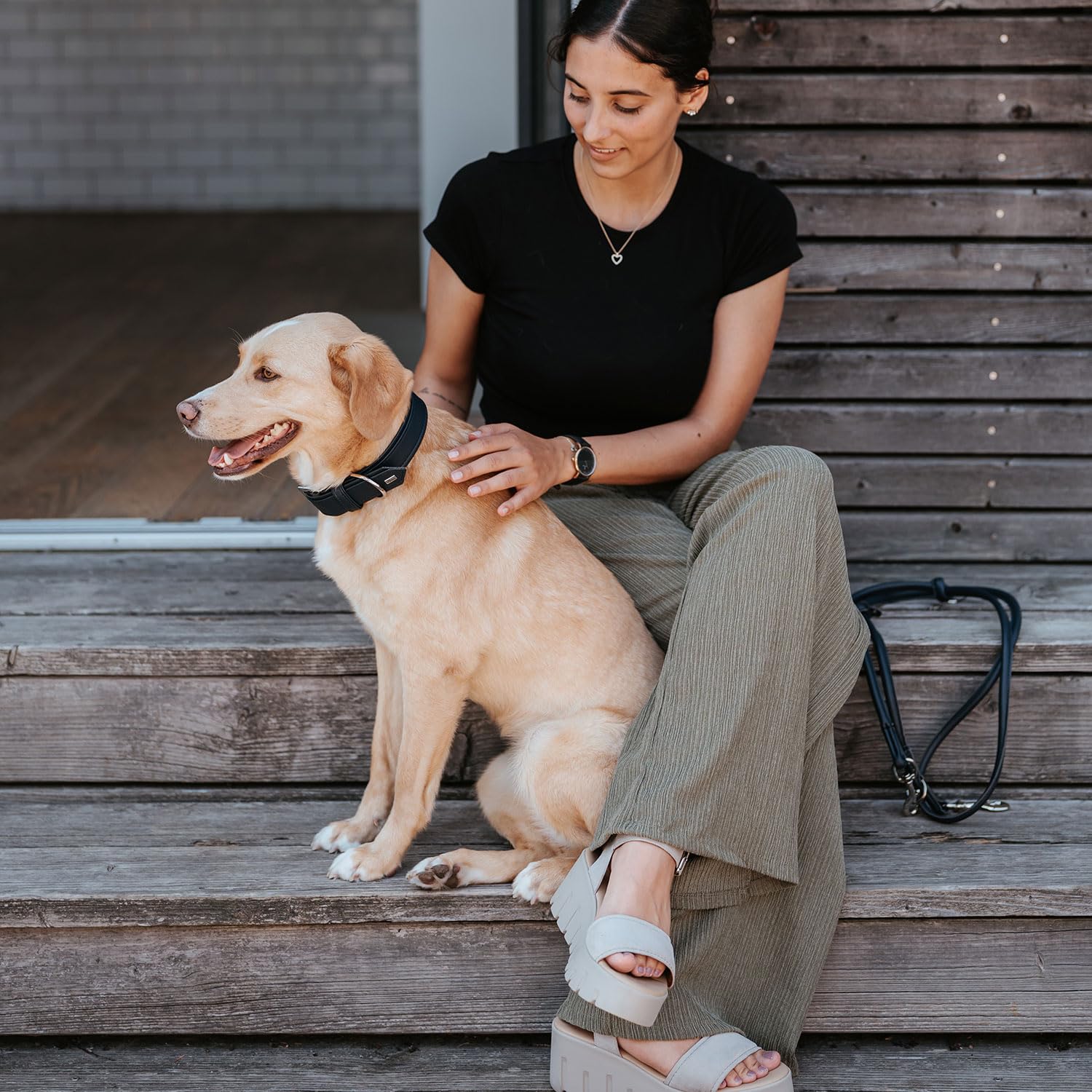 Lila hondenriem verstelbaar - MyDogs hondenschool