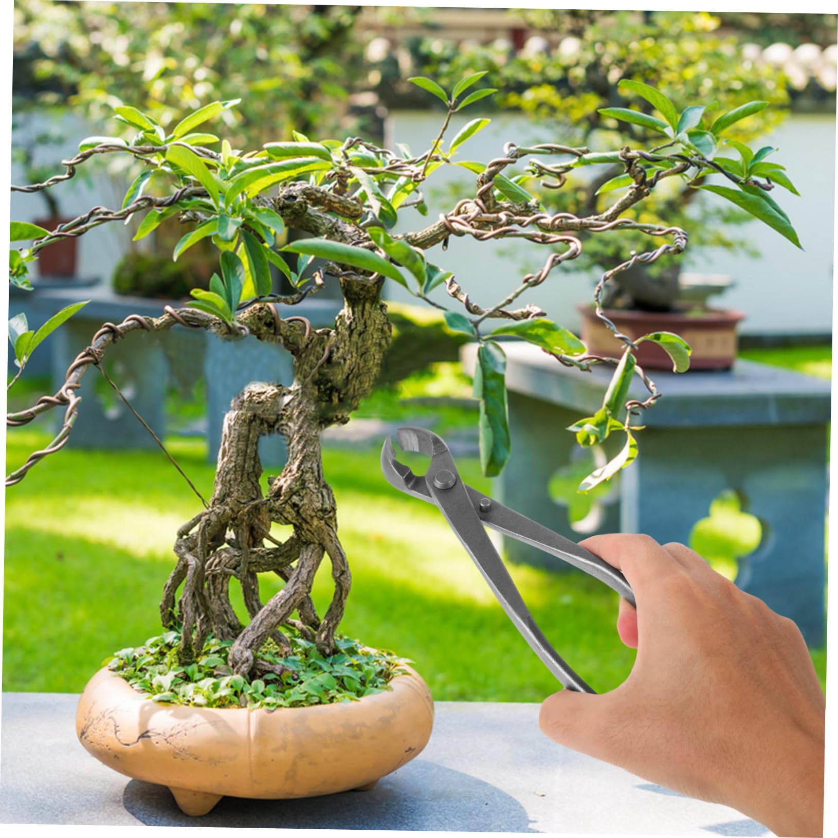 ibasenice Cesoie per Potatura Bonsai Ergonomiche Carbonio Strumenti Multifunzionali per Giardinaggio e Modellatura Piante per Potatura e Rifinitura Dettagliata