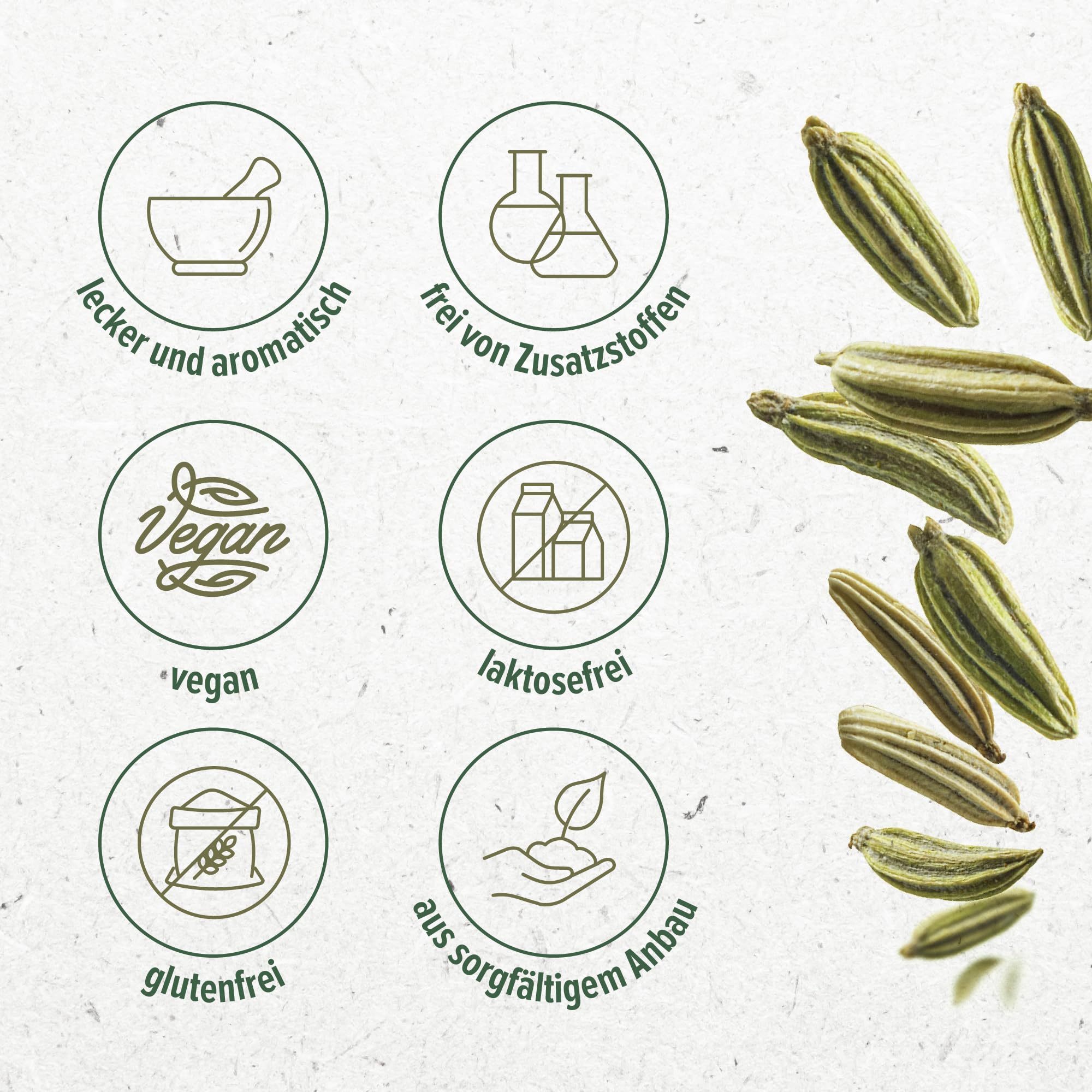 Semillas de Hinojo Monte Nativo 500g - Especias secas para Té y Cocina