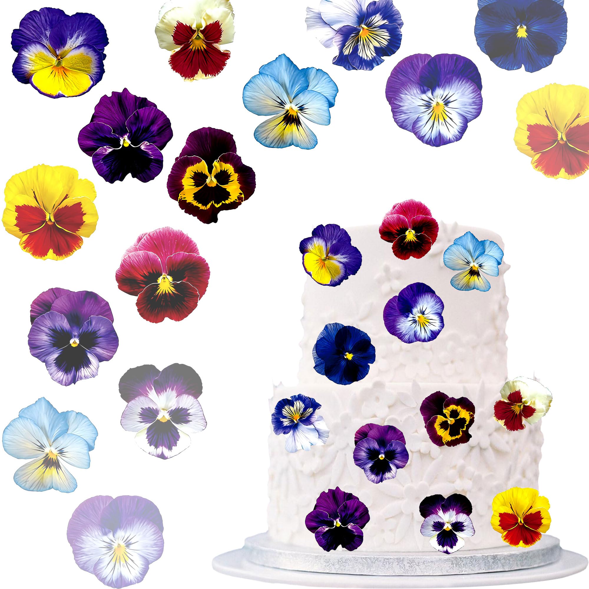 Gyufise 48Pcs Edible Flower Cupcake Toppers Wafer Paper Flat Pansies Cake Toppers Spring Bridal Engagement Baby Shower Birthday Party Cupcake Picks Anniversary Party Supplies Deep Purple